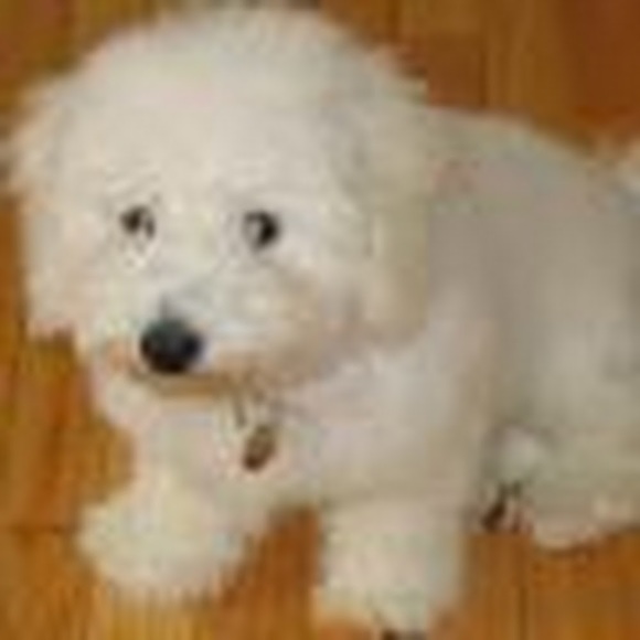 Meet your Posher, S - Picture 1 of 1